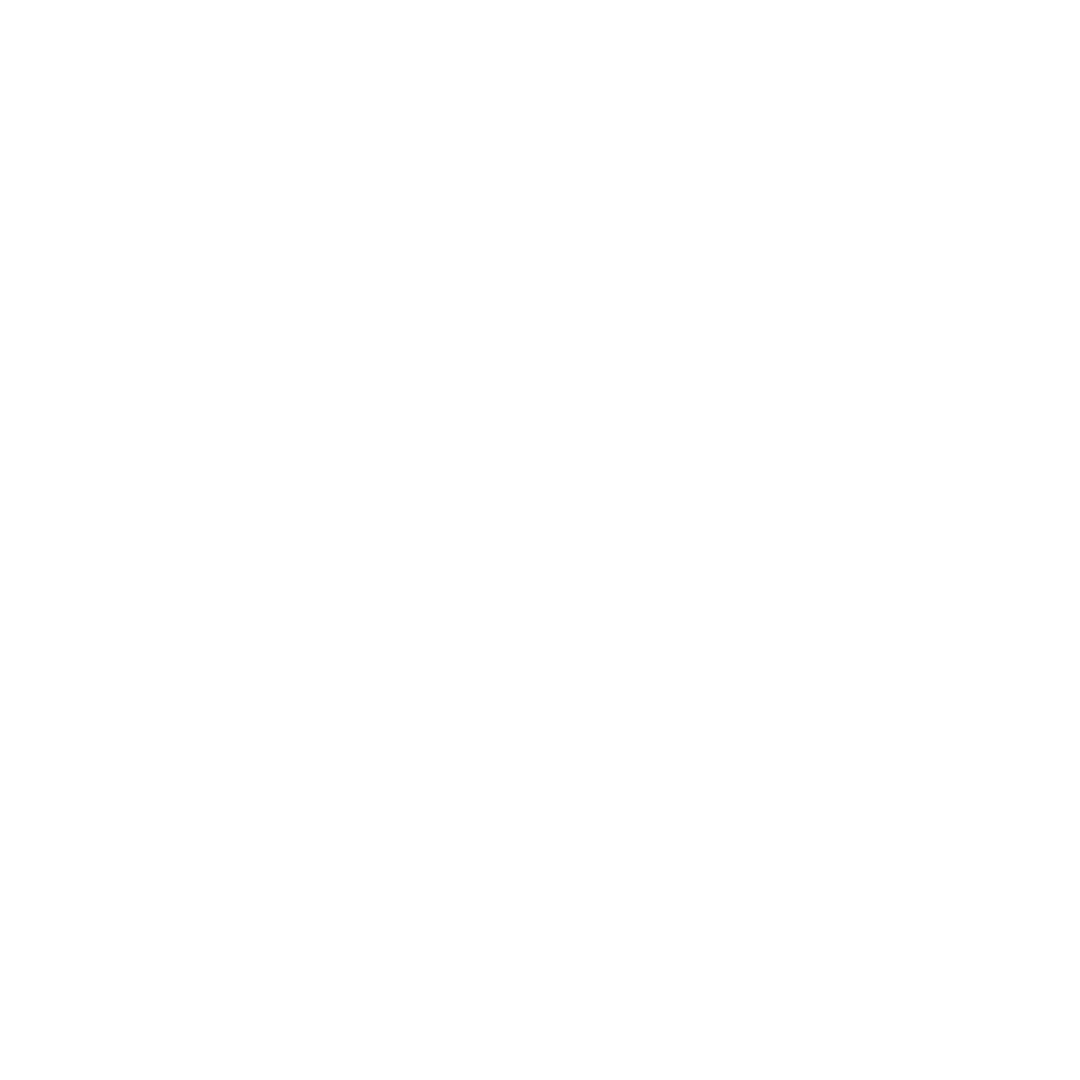 Vinopass Logo White